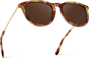 Maple Tortoise / Brown Lens