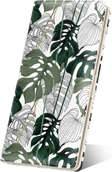Monstera Deliciosa