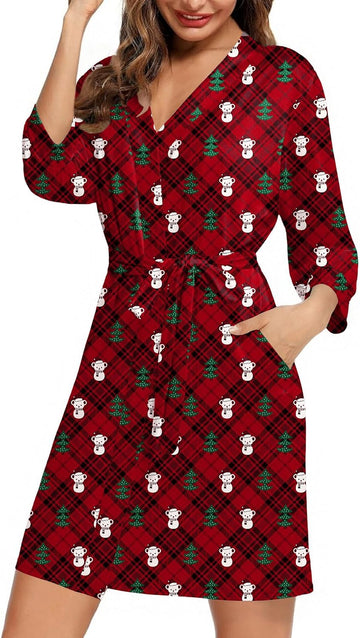 Teddy Bear Red Christmas